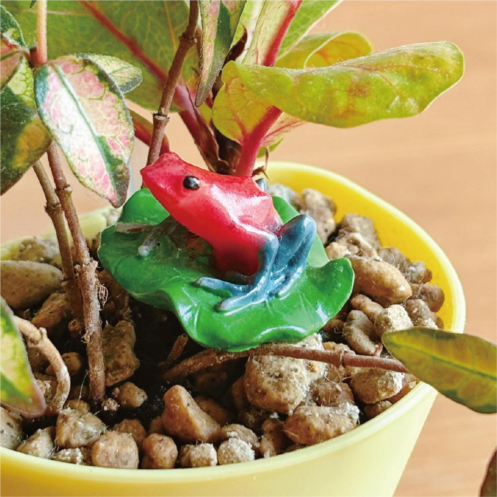 ソコニワ ミニチュアピック ヤドクガエルレッド MP-17 – 水と緑が