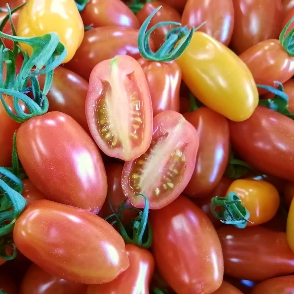 フラガールミックス800gとトマト6個の詰め合わせ1.8kg 税込1910円 | 親