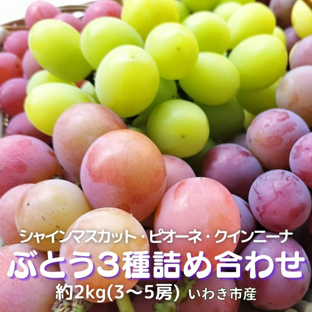 ぶどう3種詰め合わせ約2kg 3〜5房入り 税込3850円 | 親バカトマト 助川
