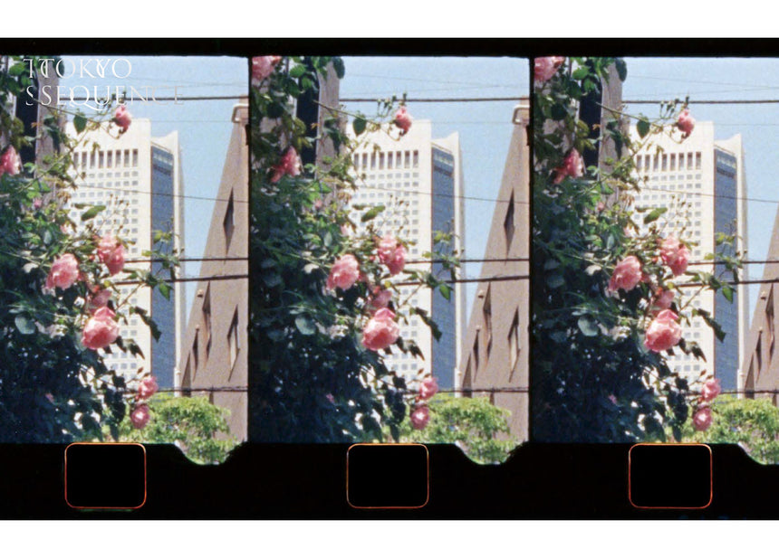 Originals – SUPER LABO