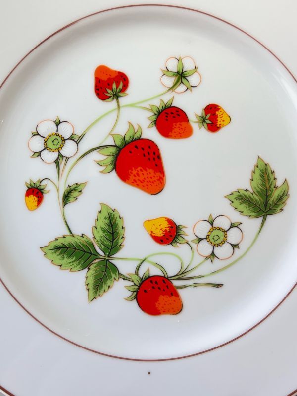 いちごの大きなプレート皿 2枚セット ストロベリー