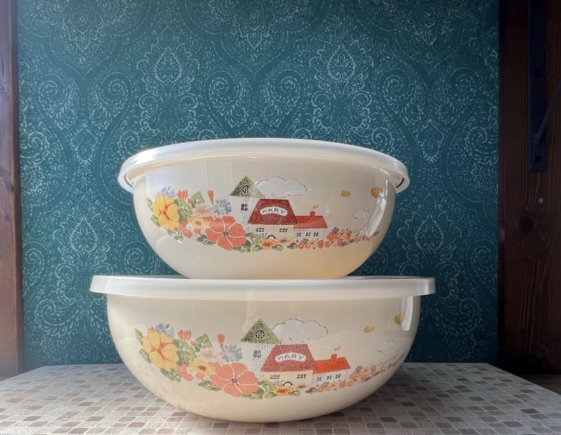 RJIRY エジリー 特大蓋付きホーローボウル MARY 2個セット HB53