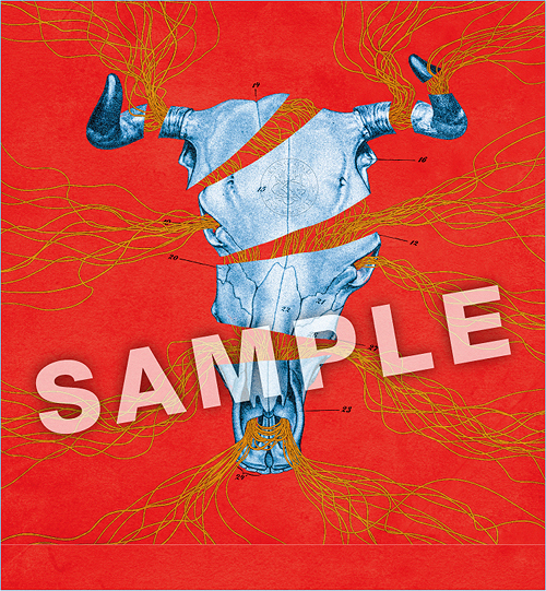 CDJapan : Specialz [Regular Edition] King Gnu CD Maxi