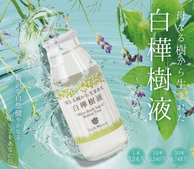 母なる樹から生まれた白樺樹液 北海道美深町仁宇布産 100％！ | セント