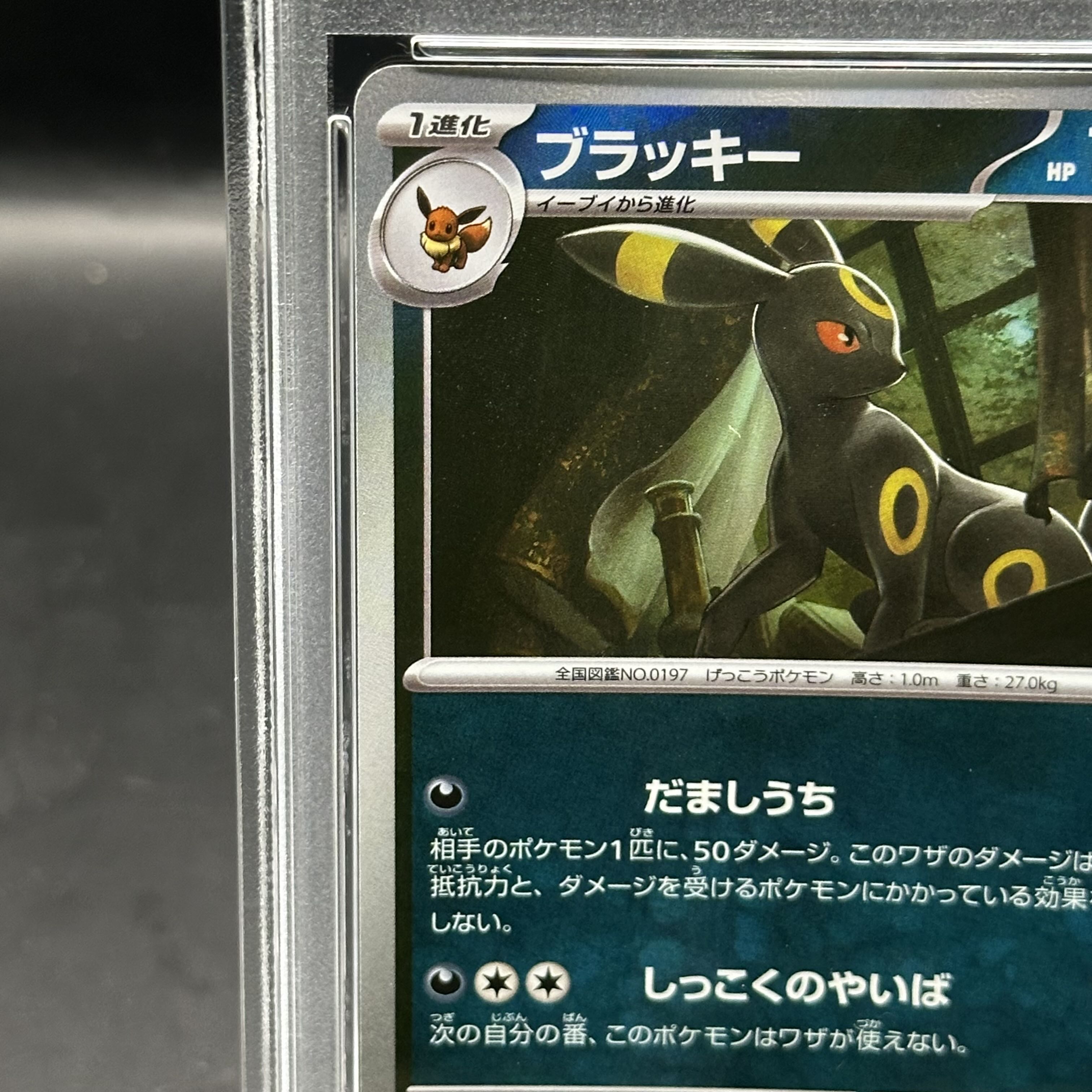 PSA10】ブラッキー(マスターボール柄/ミラー仕様) 092/187 1枚の通販
