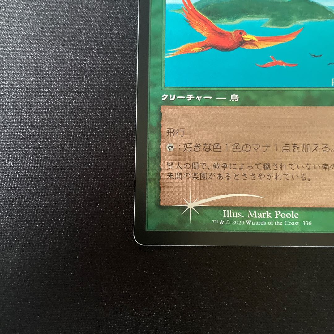 MTG 極楽鳥foil 美品 1枚の通販 コレクト（1803749518） | magi