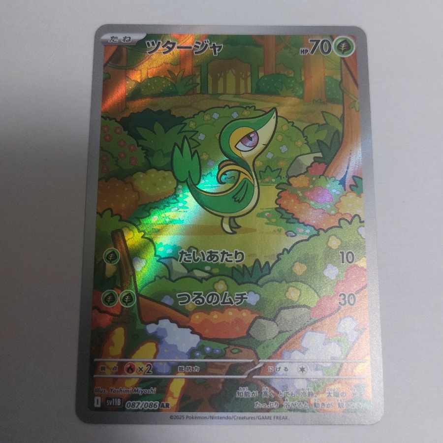 ツタージャ AR 087/086 1枚の通販 146098253（620263833） | magi