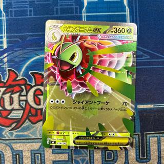 メガメガニウムex(ミラー仕様) S-TD」の激安通販 | magi