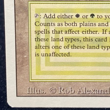 Savannah 3ED 1枚の通販 土日祝休@magi公式(コレクター)（844153106