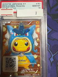 ギャラドスごっこピカチュウ」の激安通販 | magi