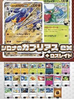 シロナ＆ガブリアス」の激安通販 | magi