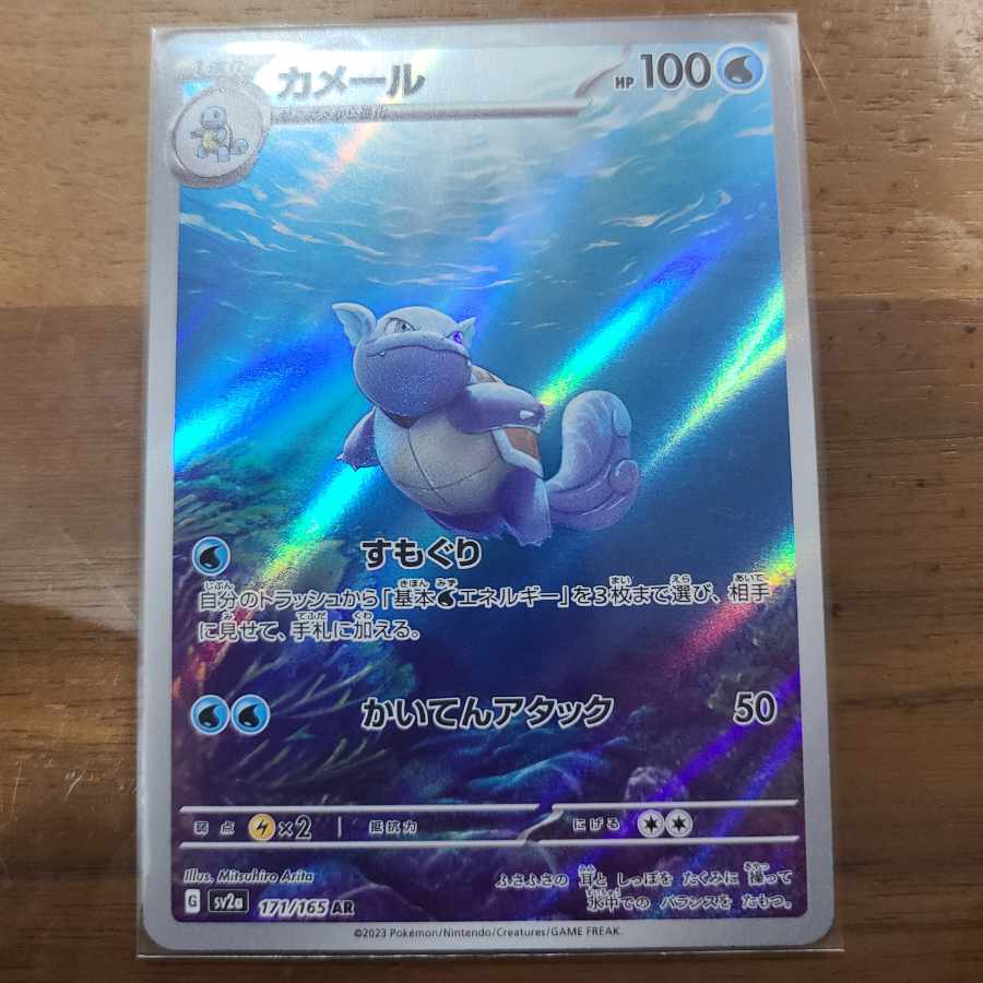 ちょこチップ様専用 カメール AR 171/165 1枚の通販 ヒサ（1011563858