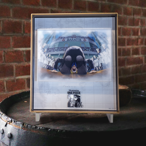 ワンピース】25 Eternal Shots プレミアムアクリルアートフレーム 22