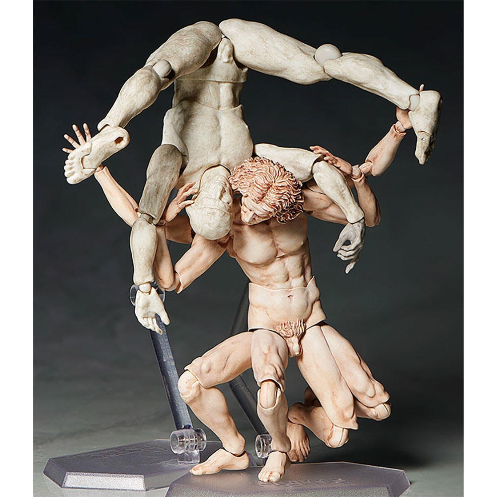 テーブル美術館】figma ウィトルウィウス的人体図 -の商品詳細 | 蔦屋