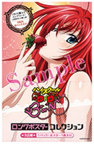 ハイスクールD×D BorN ロングポスターコレクション【BOX】(約