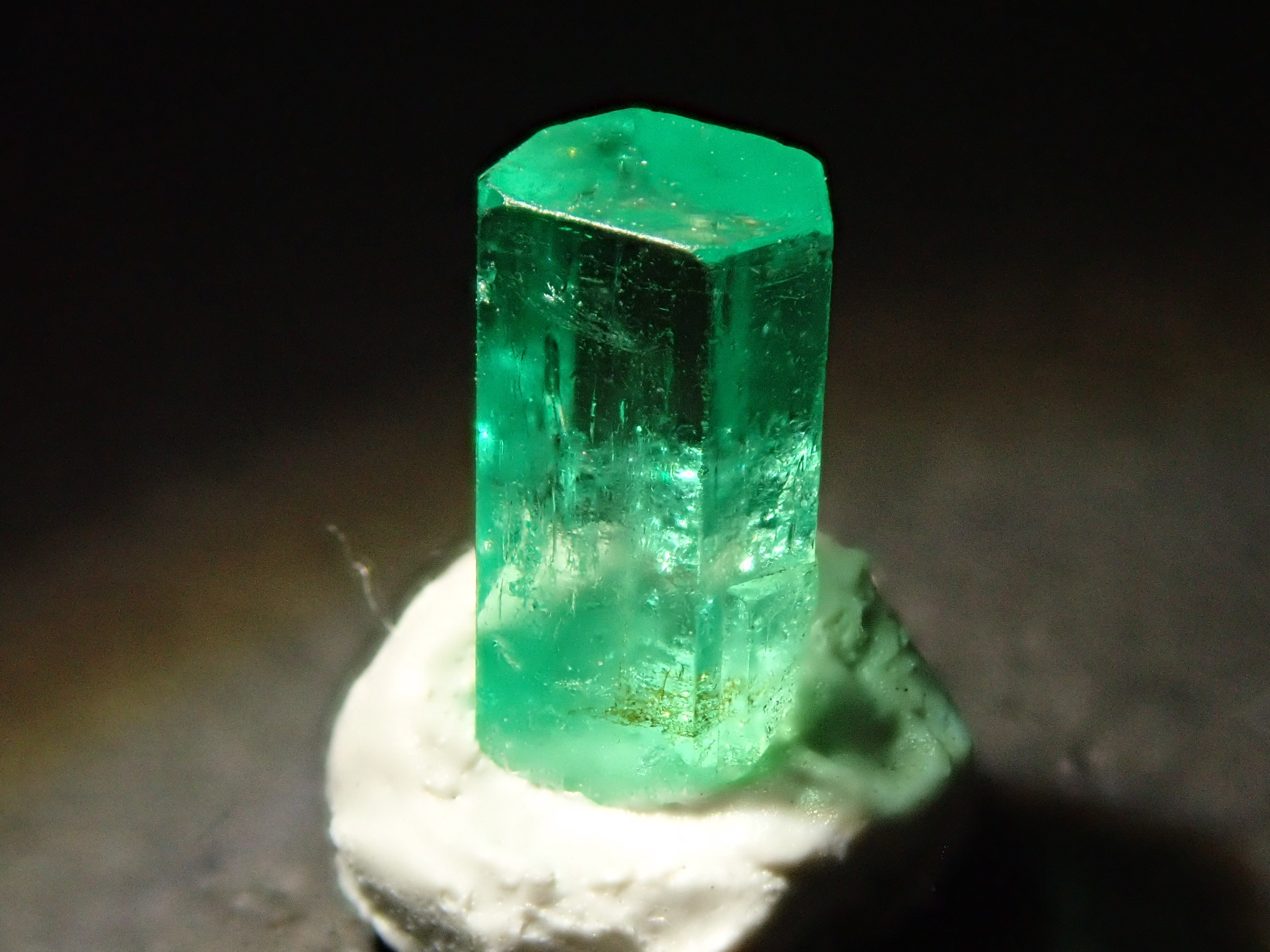 P5080280.jpg?crop=center&