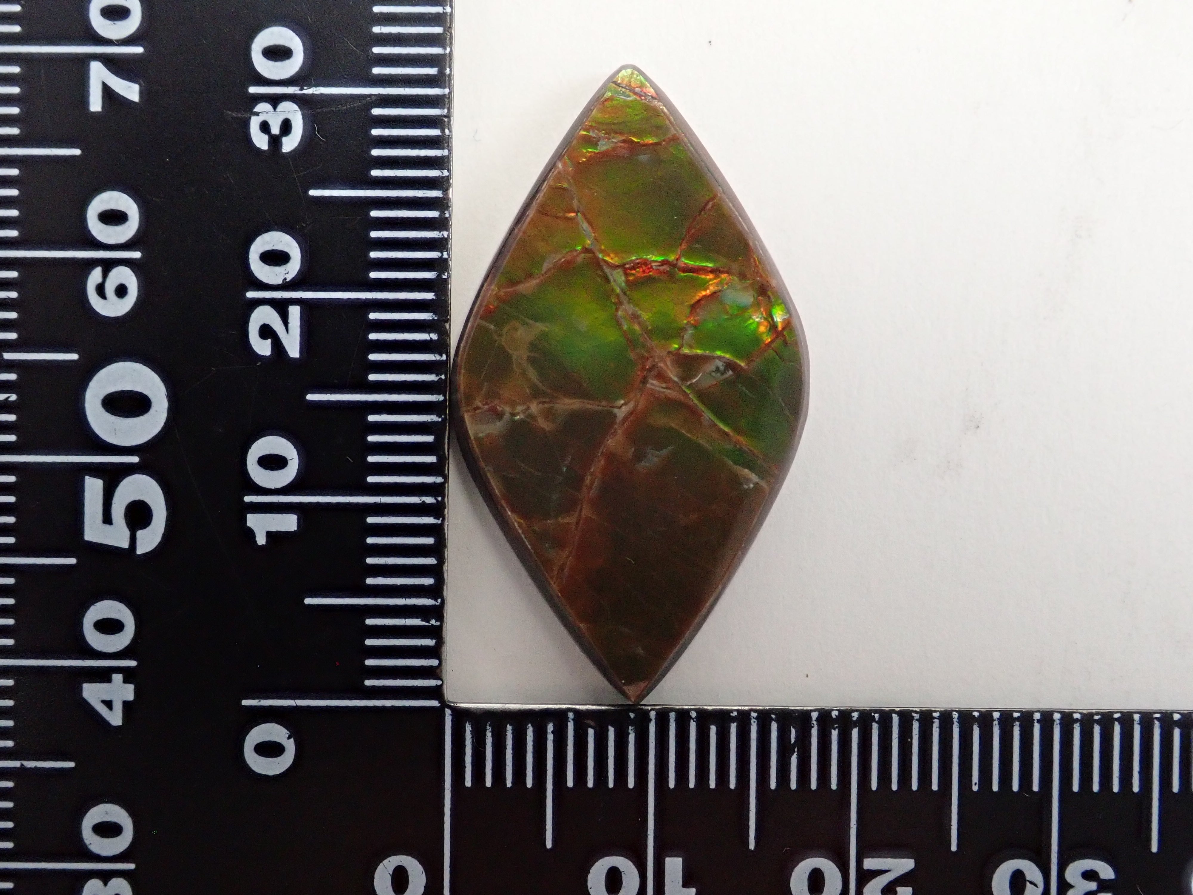 カナダ産アンモライト 17.043ctルース