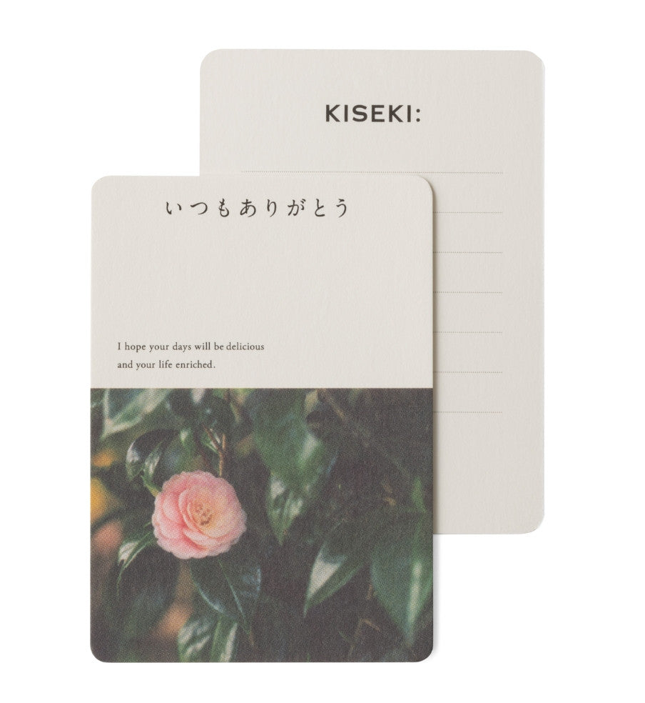 予約：26年12月お届け予定（10ヶ月待ち）】KISEKI:三徳［ヤマザクラ