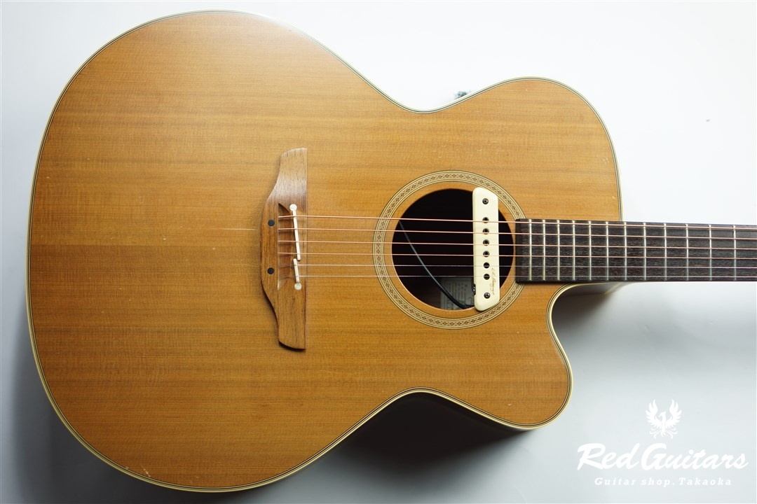 Takamine NPT-010 | Red Guitars Online Store