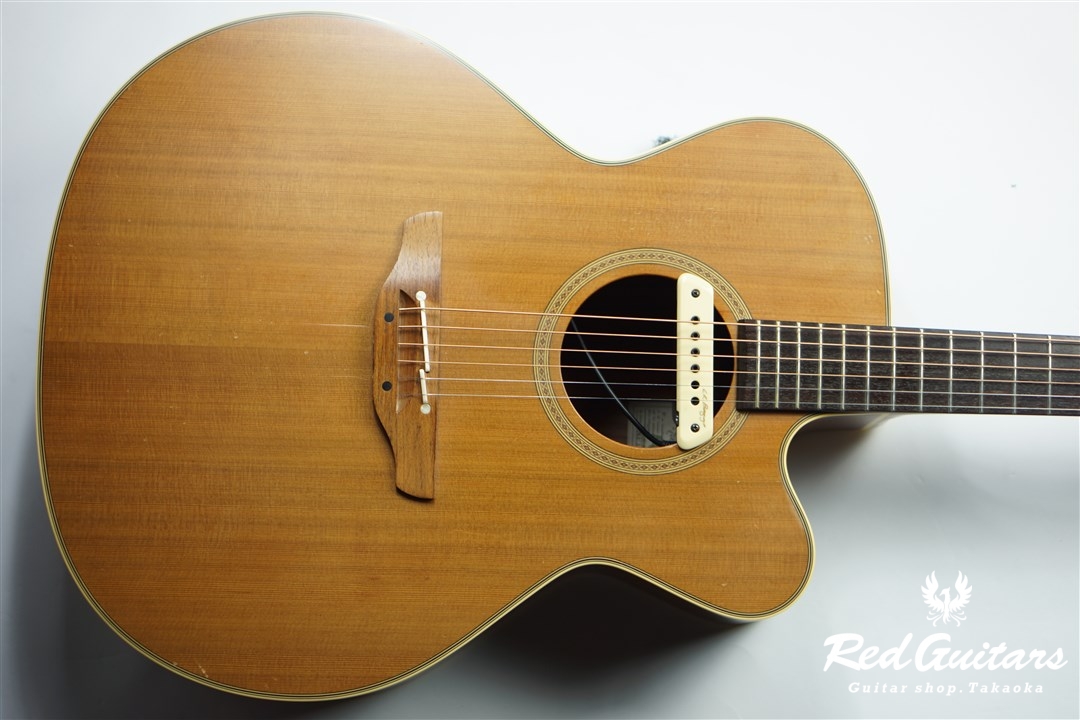 Takamine NPT-010 | Red Guitars Online Store