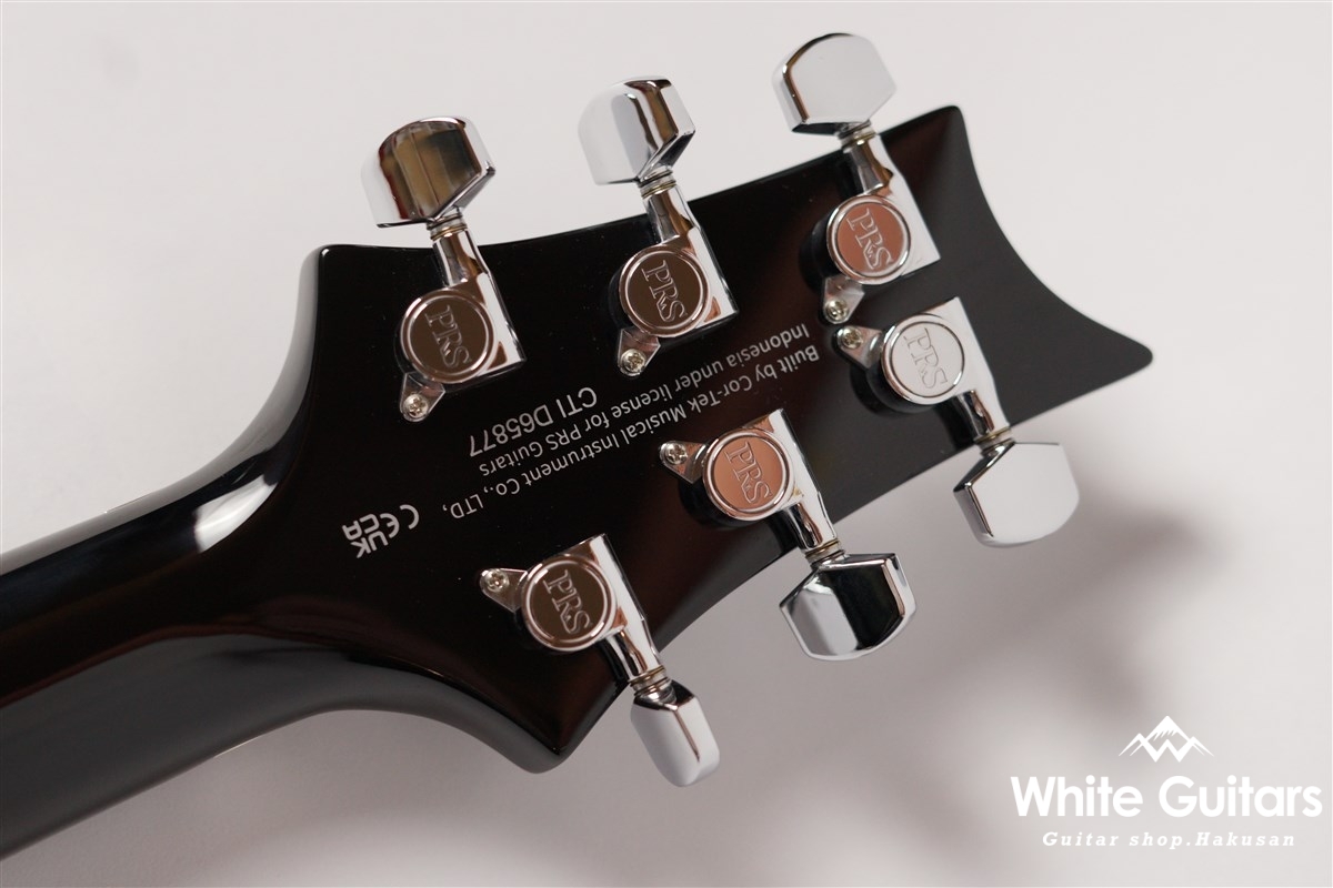 Paul Reed Smith(PRS) SE Custom 24 Floyd - Charcoal Burst | White