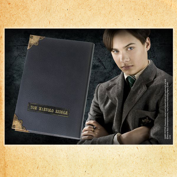 SHOCHIKU STORE | 松竹ストアハリー・ポッター 1/1スケールレプリカ