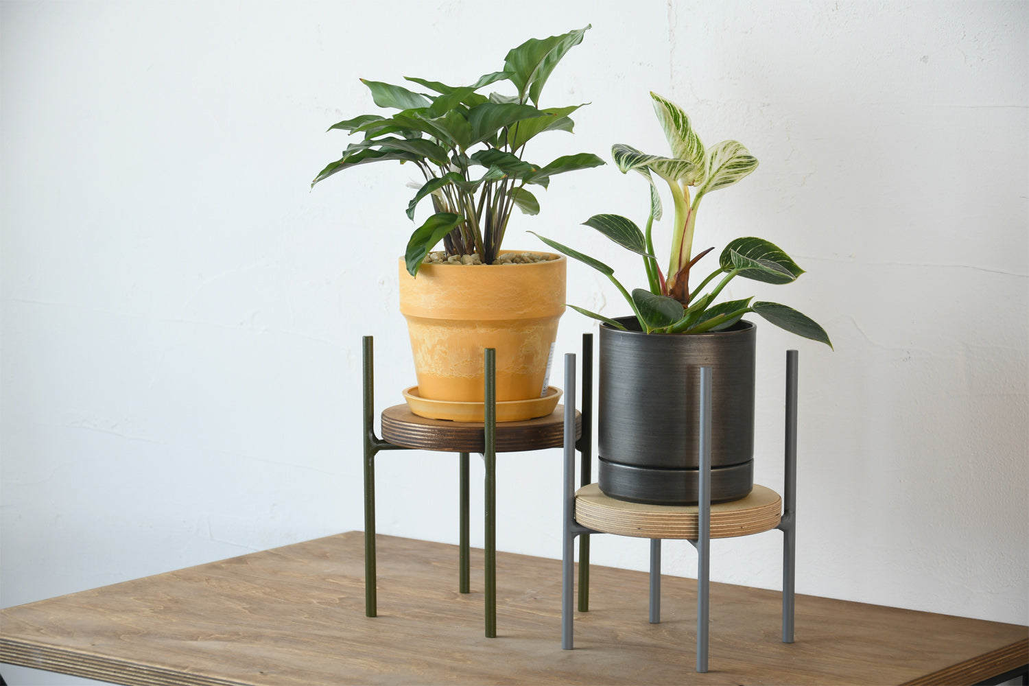 プランタースタンド | アイアン家具通販 SULK