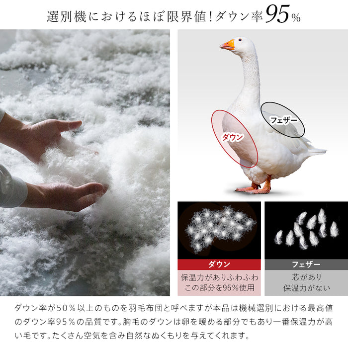 羽毛布団 二層式 シングル ポーランド産ホワイトマザーグース95