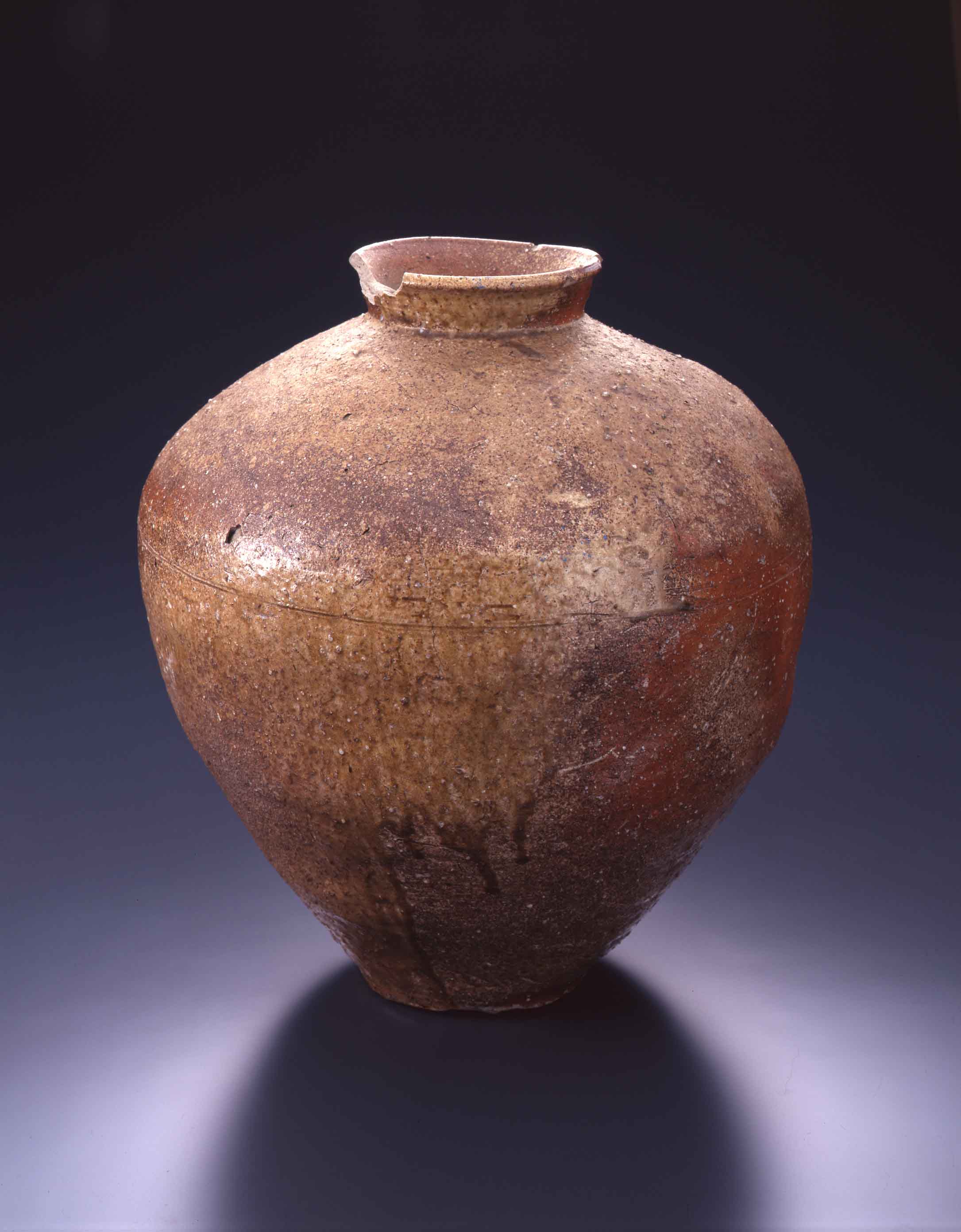 信楽焼とは。たぬきの置物から国会議事堂まで「他を抜く」技と歴史