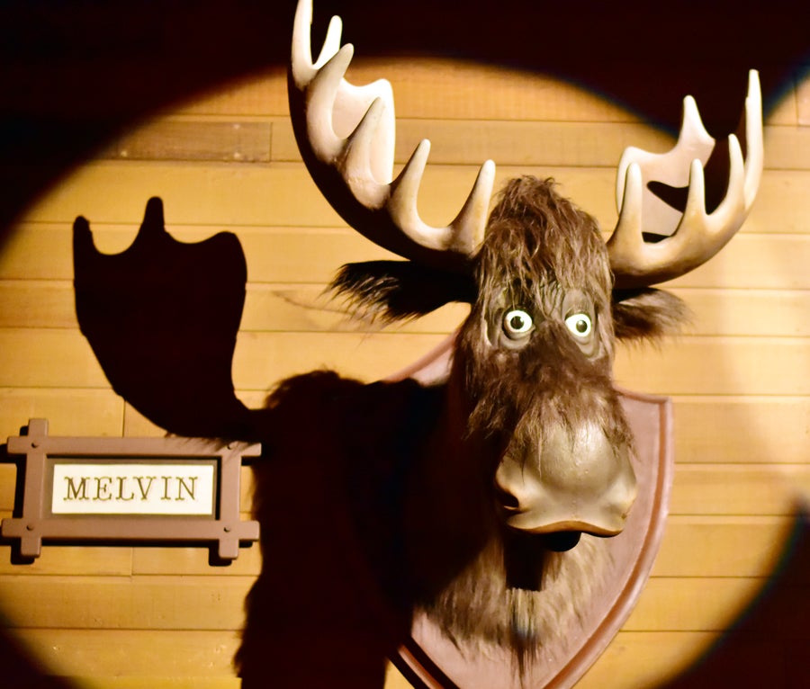 2017-01-06 カントリーベア・シアター 2 | ディズニーな雰囲気