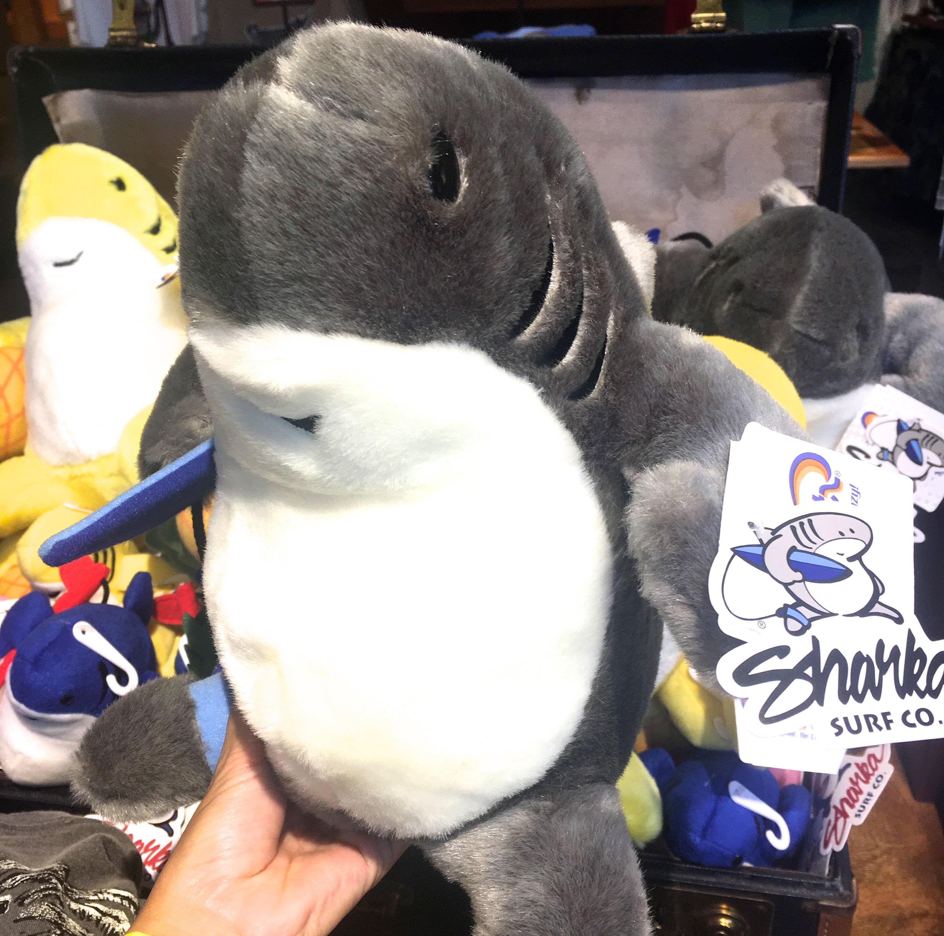 コケタニくんこと、シャーカについて。 | Crazy Shirts Hawaii