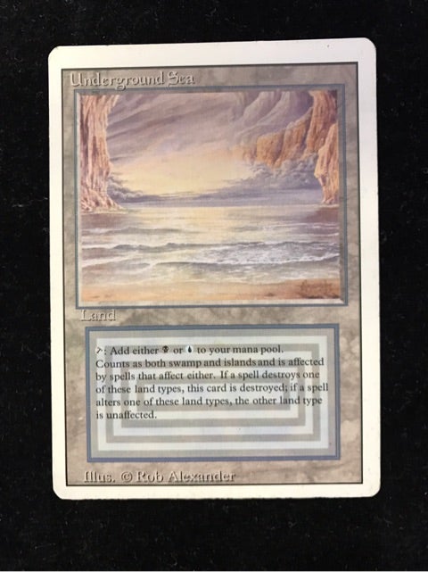 MTG】最もシンプルで、最も希少な2色土地 | MINT新宿店のブログ