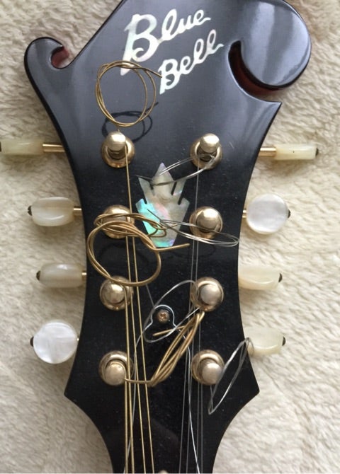 BLUE BELLのフラットマンドリン | 手風琴公式ブログ