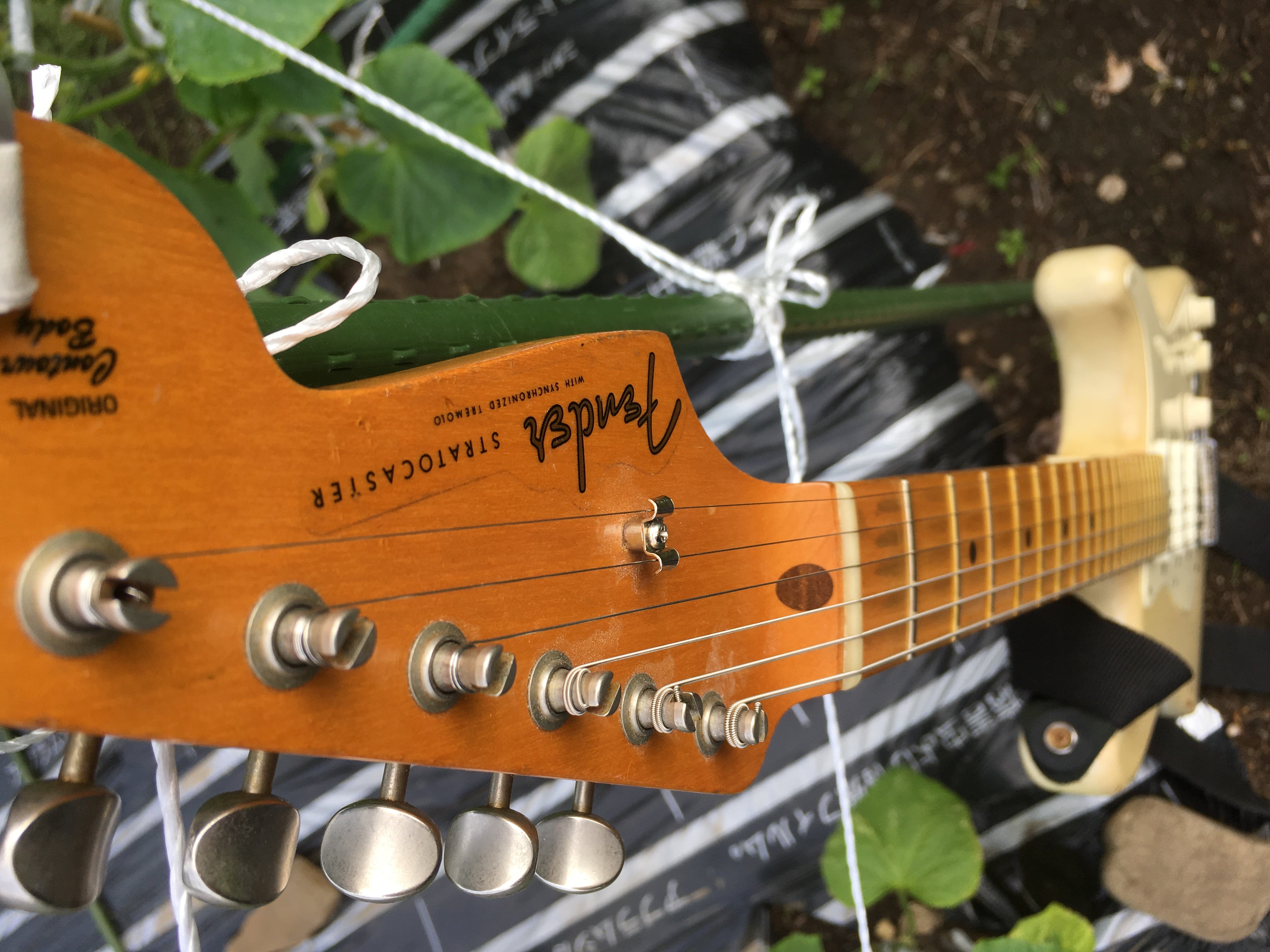 PLEKでストラトをコンパウンドラジアスに | 考えるギター