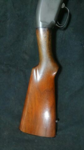 2位じゃダメなんですかっ！ 銃床木材のお話 | 音楽家ときどき猟師