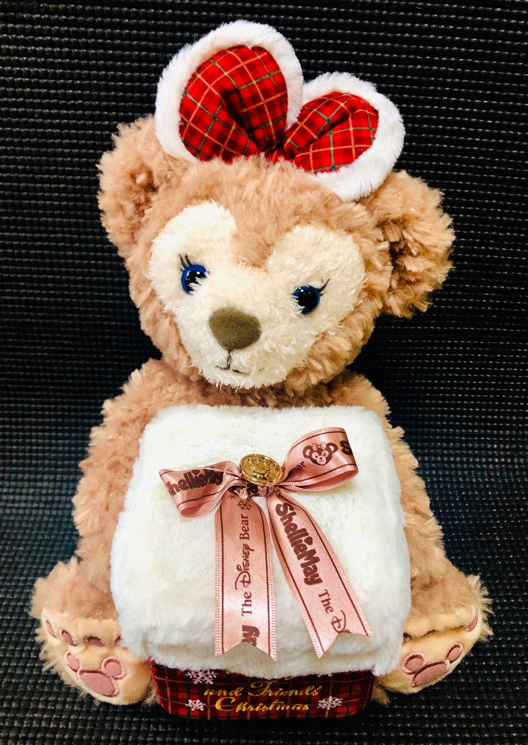 クリスマスプレゼントを入れて贈ろう！プレゼントBOXを持った