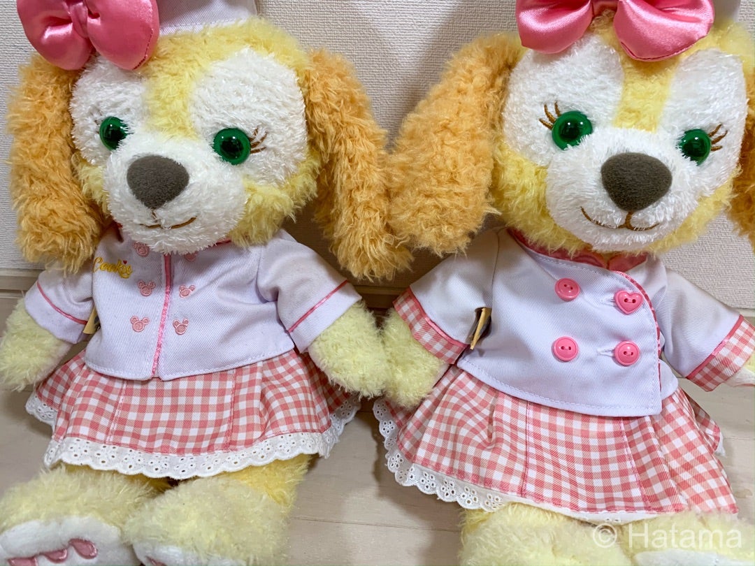 比べてみよう！香港のクッキーとTDSのクッキー・アン | Hatama