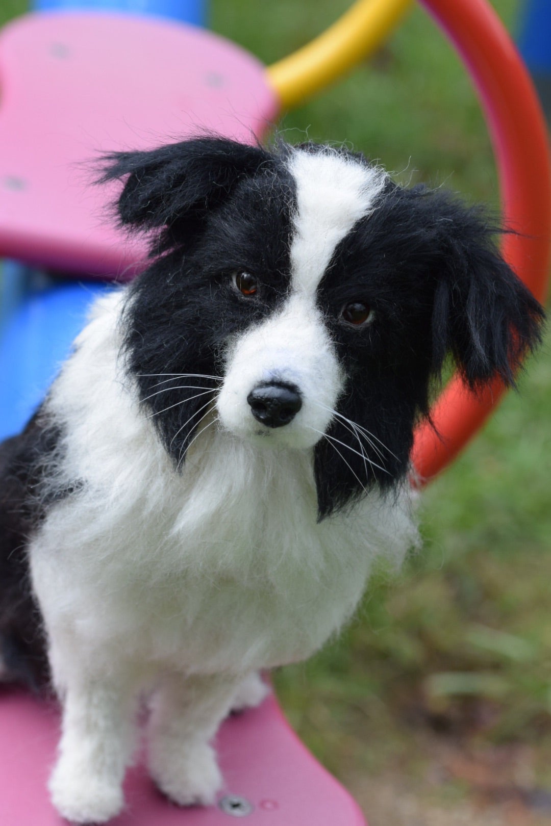 ボーダーコリーのりんちゃん（オーダー）完成です | リアルアニマル