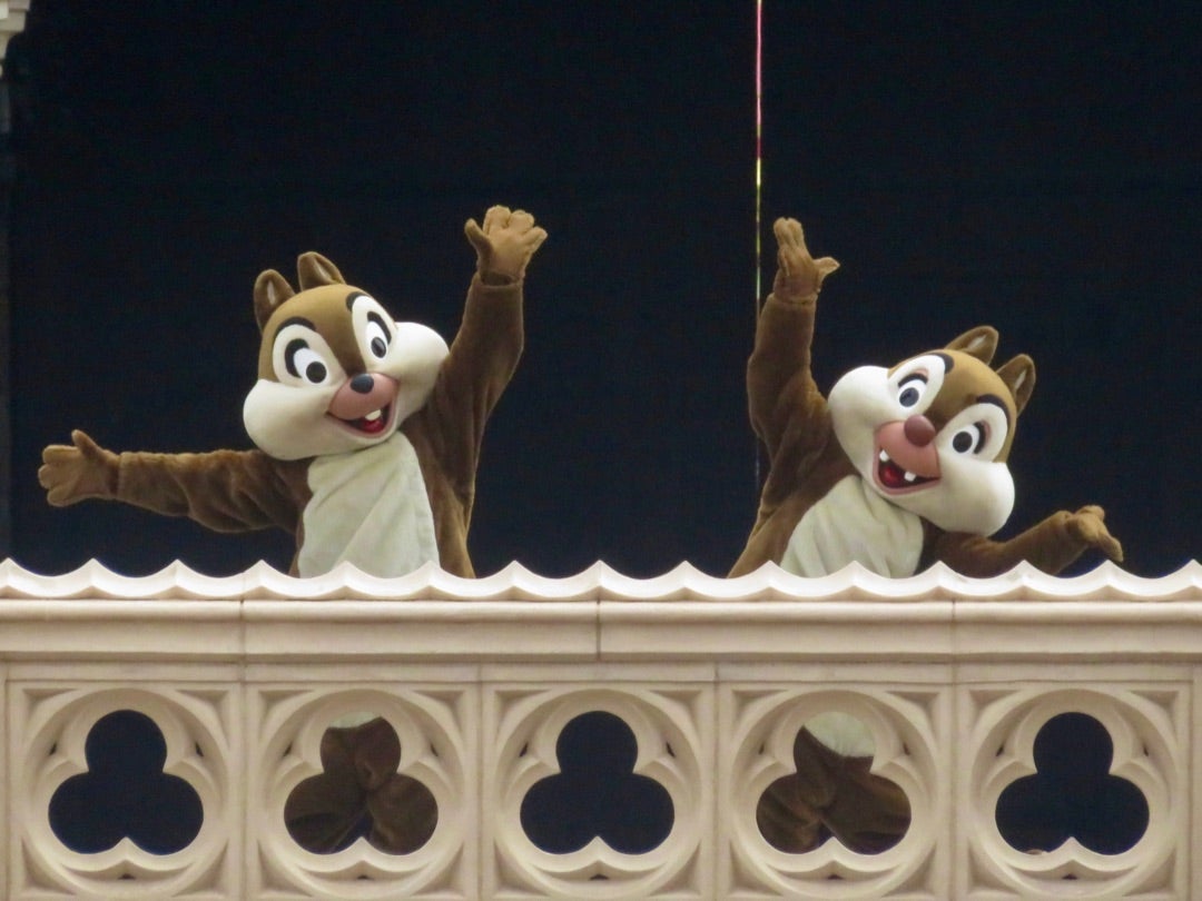 ふわふわの抱き心地♡チップ・デールのフラッフィープラッシー