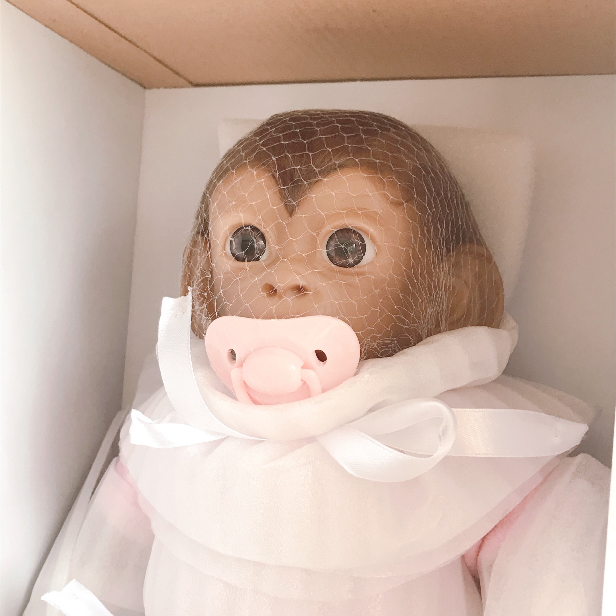 ココ Coco リボーンモンキー おさるさん 40㎝ 149780941 | リボーン