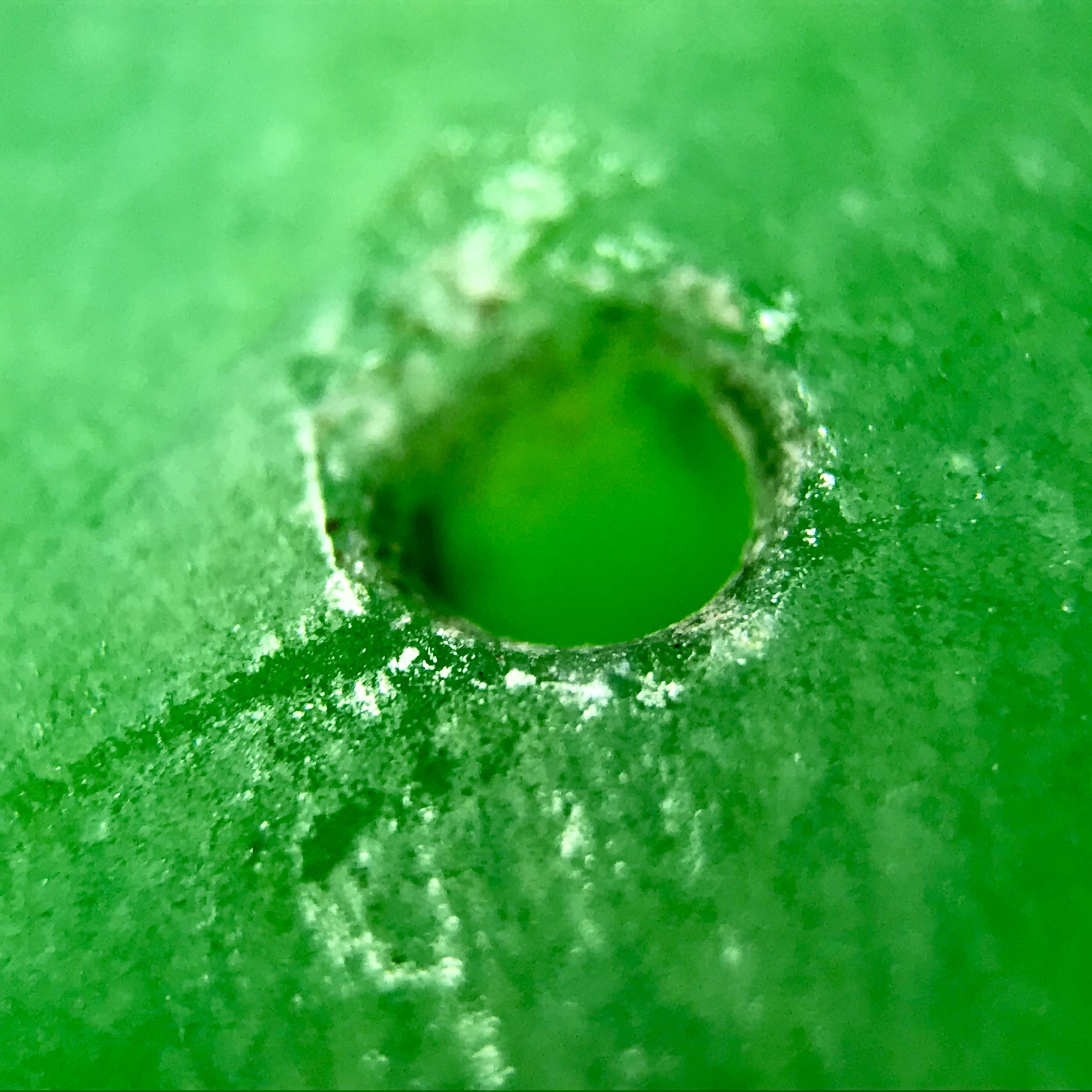 古墳期の出土品／新潟県糸魚川産本翡翠（ジェダイト／硬玉）勾玉（琅玕