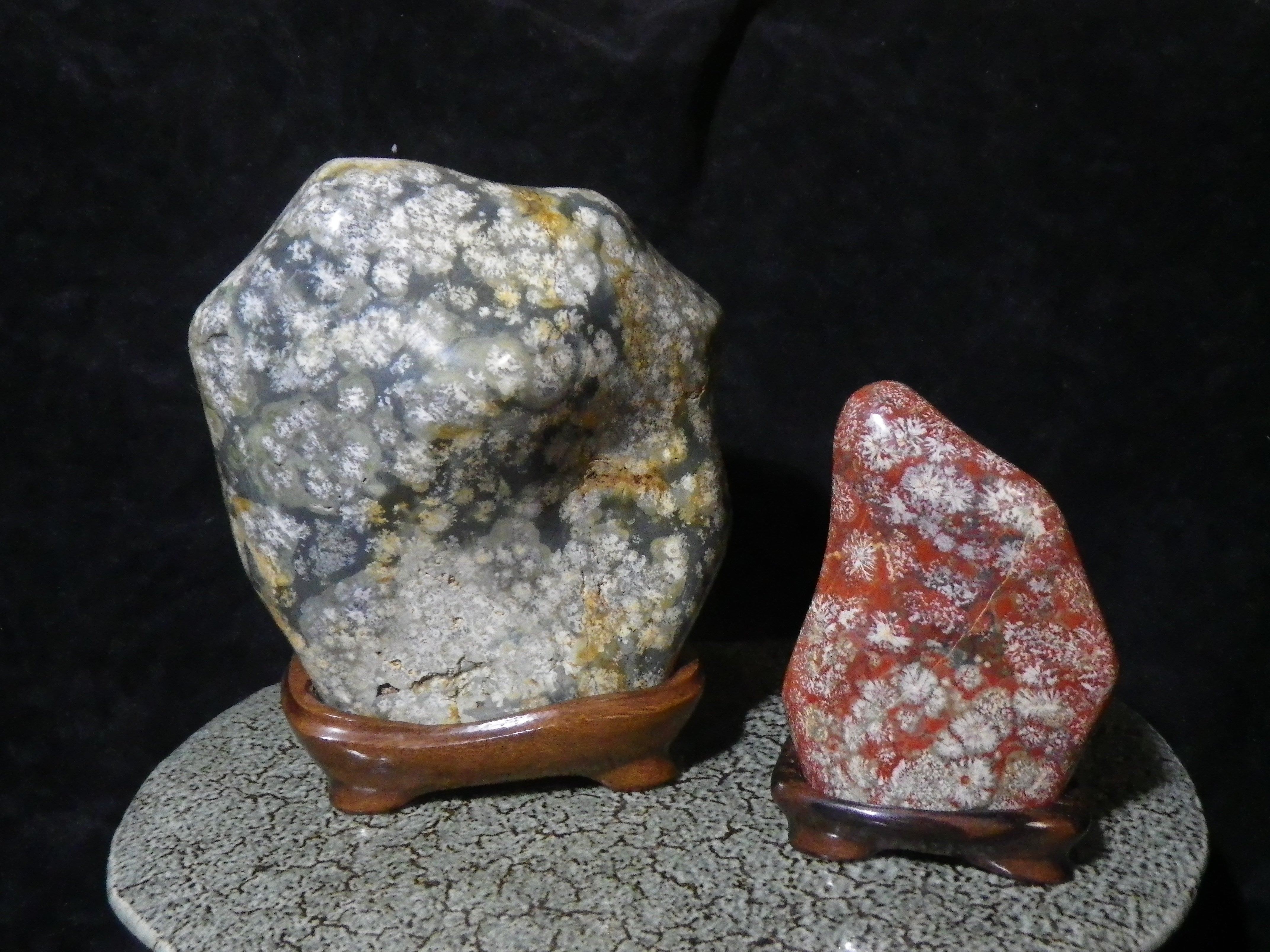 青森県 赤花紋石 青花紋石 | 石に咲く花 根尾谷 菊花石