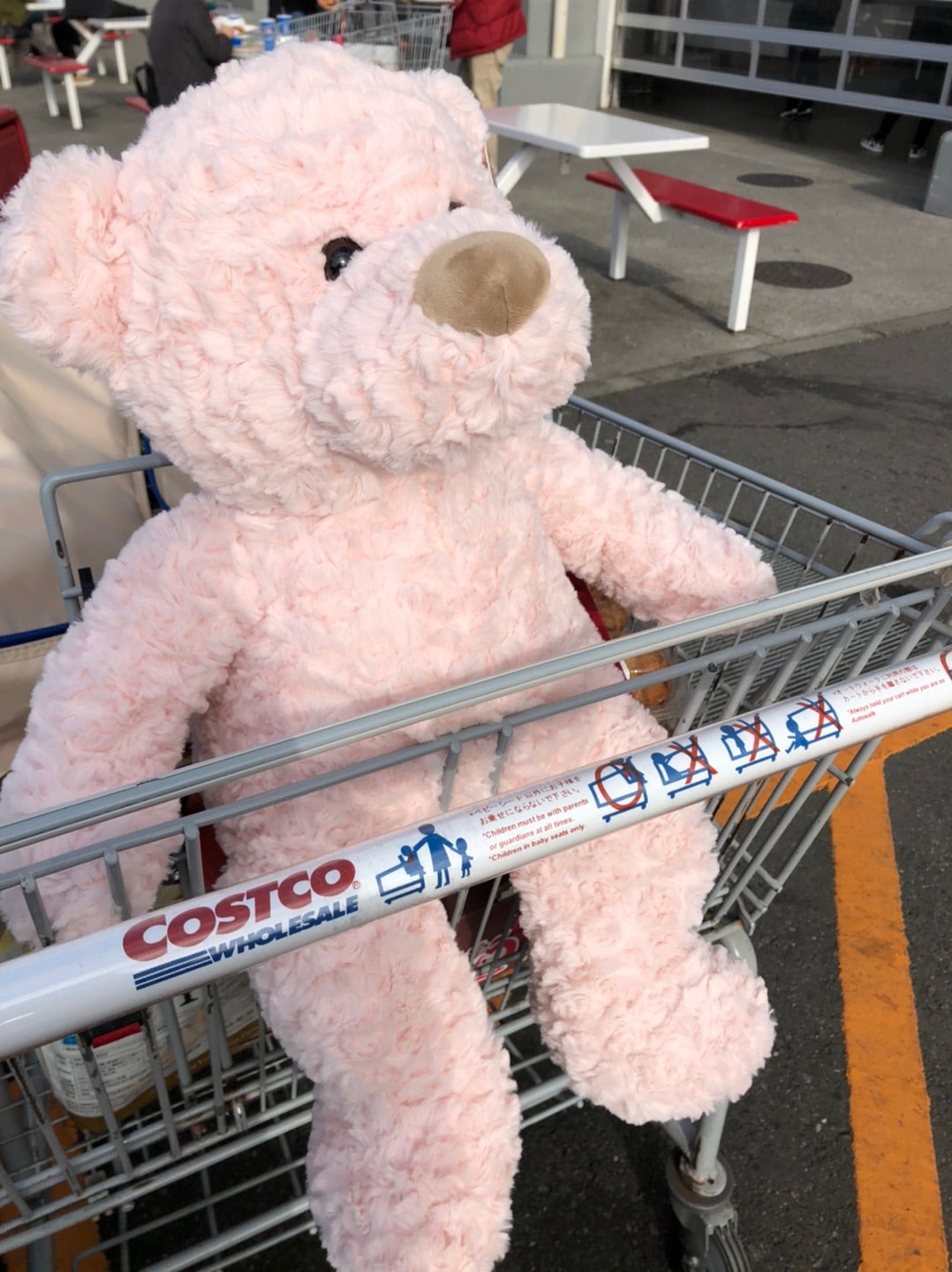 ちょっこりさん♡ついに♡ | ♡平野紫耀くんの笑顔は世界一