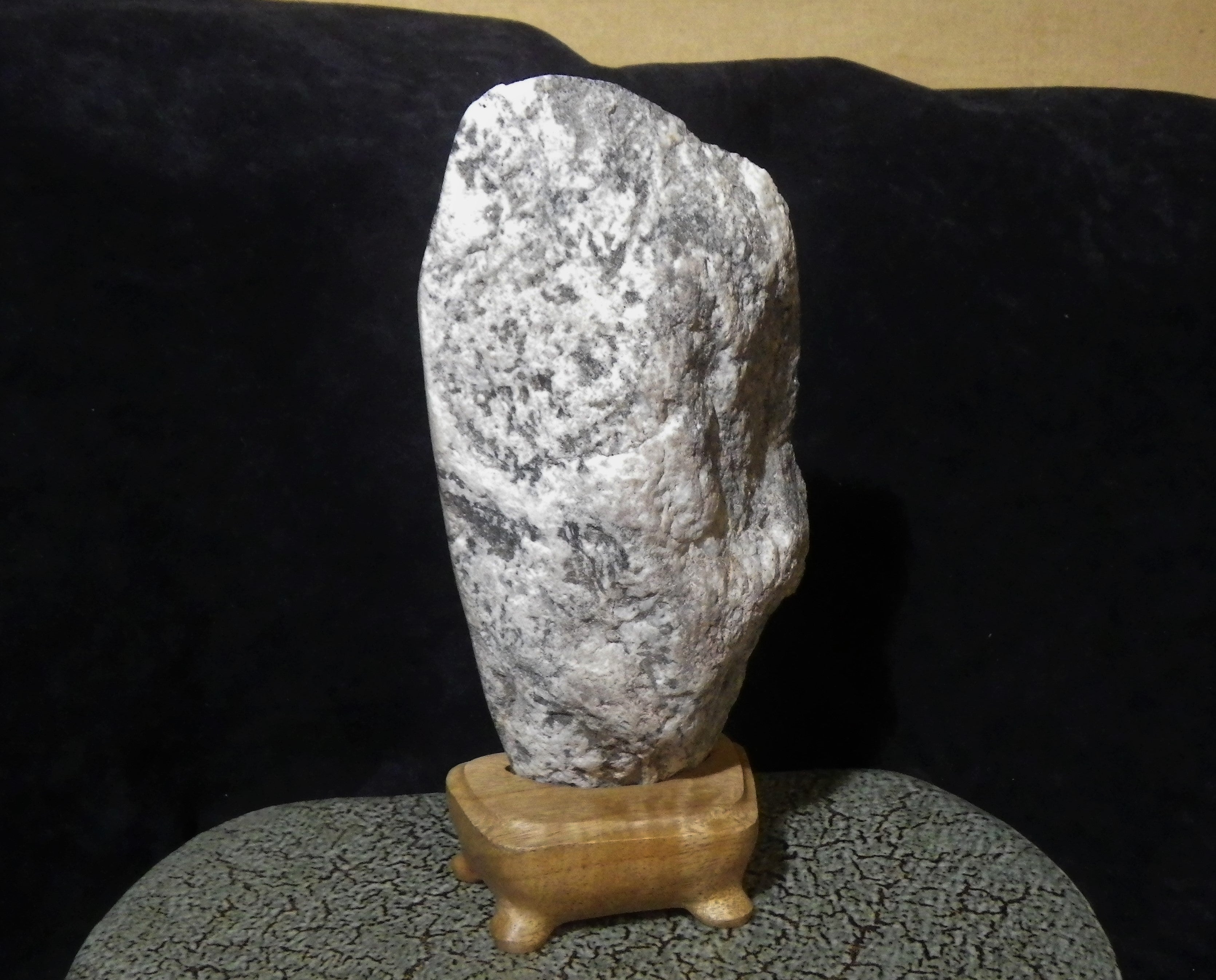 富山県 常願寺川 ナポレオン石 | 石に咲く花 根尾谷 菊花石