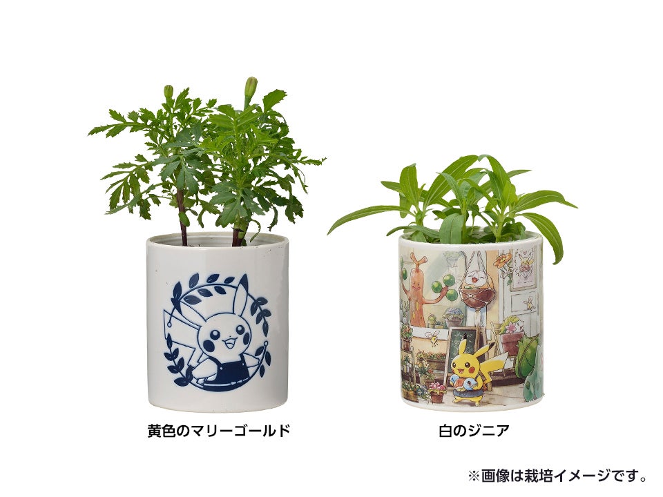 ガーデニンググッズ「Pokémon Grassy Gardening」 | ☆えるわんこ☆