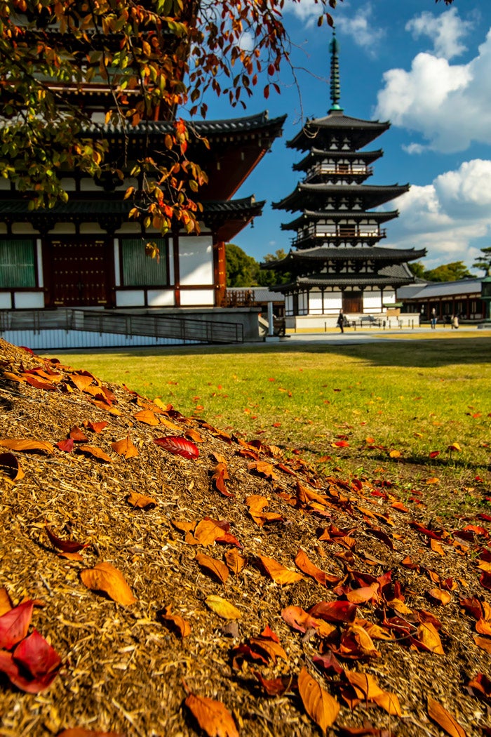 薬師寺の秋 | 西の京散歩
