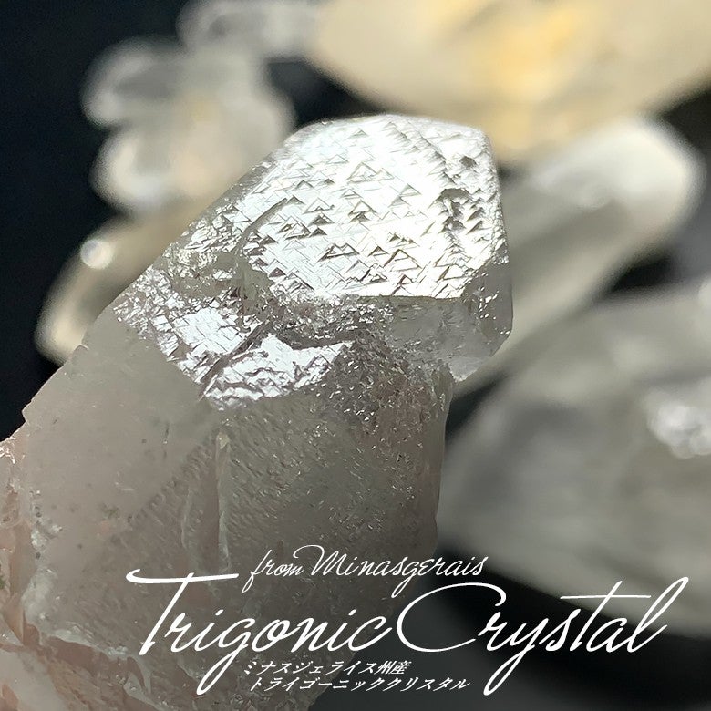 新着情報☆レア＆トライゴーニック！2つのアイスクリスタルをご紹介