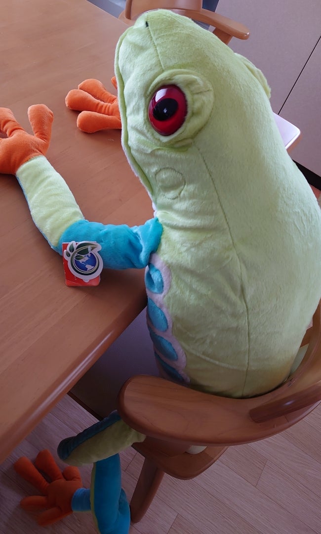 非売品】アカメアマガエル ぬいぐるみ コンフィデンスマンJP