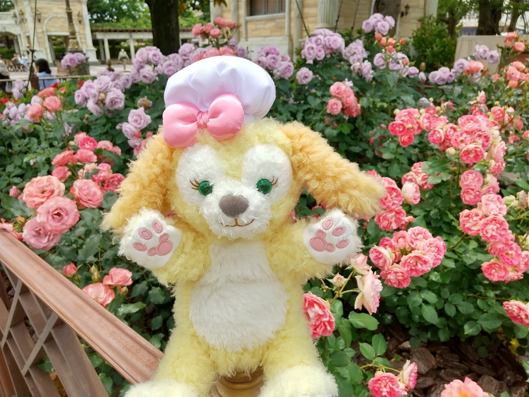 再販のハンドパペットとお品切れのハンドパペット。 | 私もディズニー