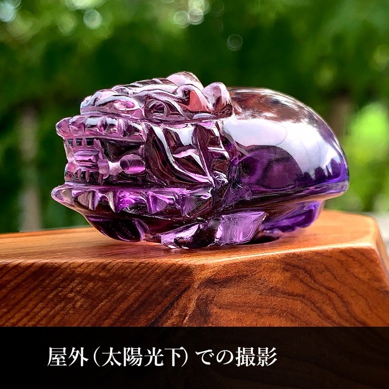 新着情報☆龍亀/ロングイ！トップクォリティ品質ロマネサイトイン